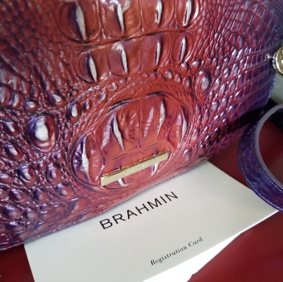 Brahmin Shayna Dawning Ombre NWT - Picture 3 of 16